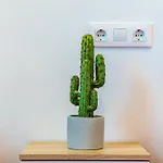 Venkovský dům Recuerdos *